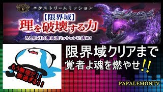 DDON 【限界域 パート５】黒竜もう~帰れよ~強過ぎんねん!!【PAPALEMONTV】