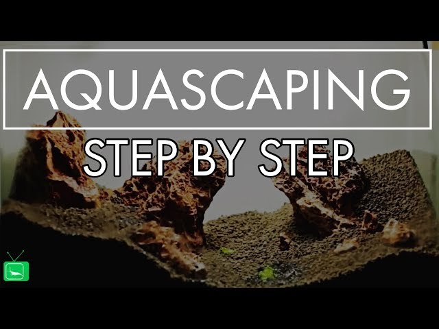 AQUASCAPING STEP-BY-STEP - EINFACH ERKLÄRT |  Tutorial