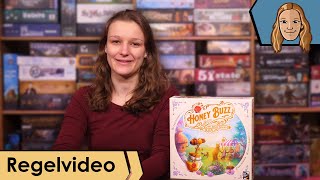 Honey Buzz Regelvideo | Brettspiele Board Games