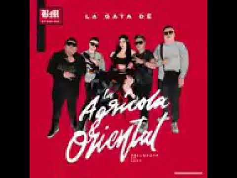 LA GATA DE LA AGRICOLA ORIENTAL. REMIX    Bellacath🤑😎