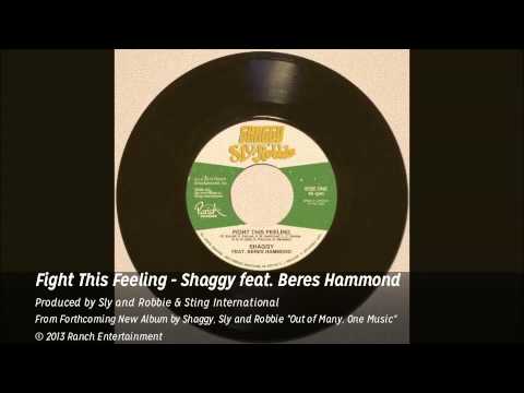 Fight This Feeling - Shaggy feat. Beres Hammond (Official Audio)