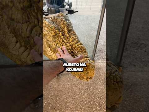 Mjesto Na Kojemu Nikada Nisam Bio …