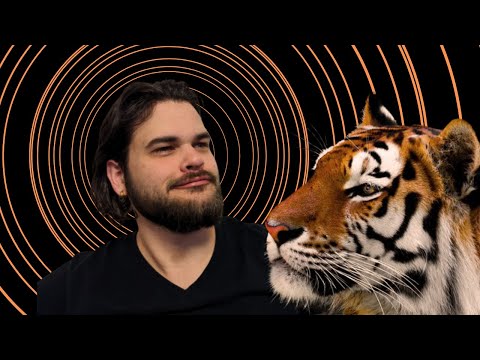 The True Beastmaster: Mark of Handling Ranger | A D&D Flavor Build