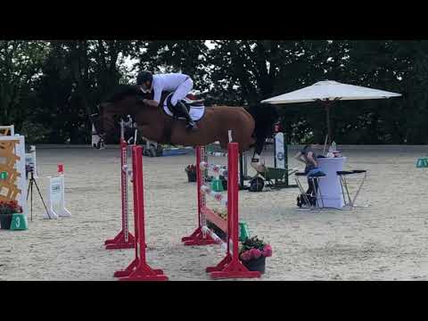 SA Stables ” Classic ” by Cancara/Casall