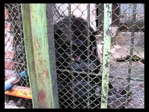 ZOOPARK STARA ZAGORA