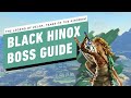 The Legend of Zelda: Tears of the Kingdom - Black Hinox Miniboss Gameplay Walkthrough