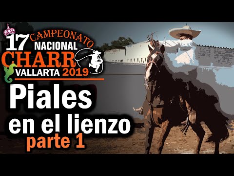 Part 1 All PIALES ON THE CANVAS - 2019 Vallarta MPI Championship