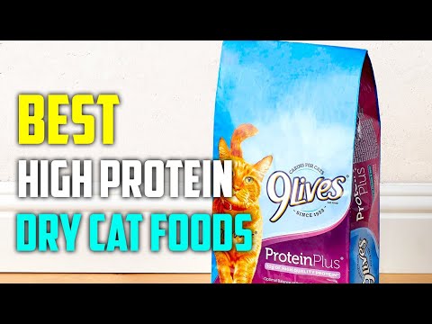 Best High Protein Dry Cat Foods Reviews [TOP 5 PICKS]