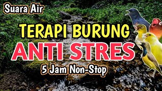 Download lagu 🔴 ANTI STRES‼️TERAPI SUARA GEMERICIK AIR   KICAUAN BURUNG - 5 Jam Terapi Rajin Bunyi   Relaksasi mp3