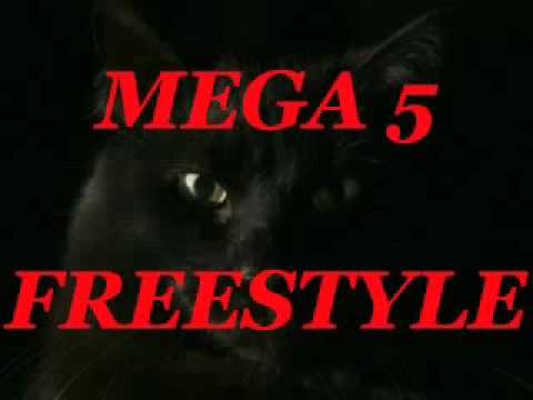 MEGA FREESTYLE MIX 5 DJ TONY