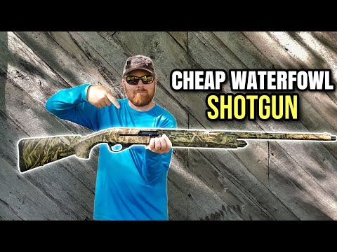 Best Budget Semi-Auto Shotgun?? Girsan MC312 REVIEW