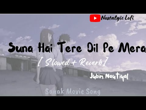 Suna Hai Tere Dil Pe Mera Kahi Na Kahi Naam Likha Hai  Slowed + Reverb | Sanak Movie Song 