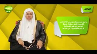 أ.د. علي الشبل | برنامج وقفات (13) | النوافل image