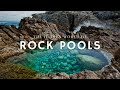 The Secret Life Of Rock Pools