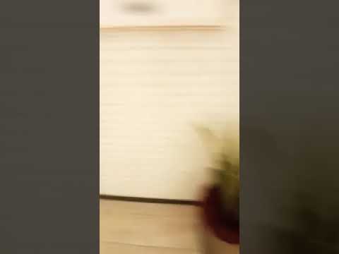 hansika heroin movie shooting at Hitech city  my home bhooja inside Building view 🏢🏢