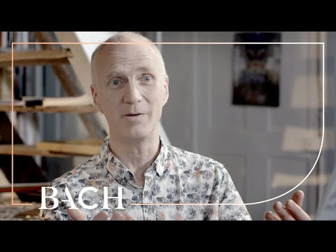 Ayrton on Bach Concerto in D minor Marcello BWV 974 | Netherlands Bach Society