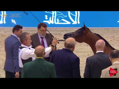 28 HELWAT AL KHALEDIAH Dubai 2018