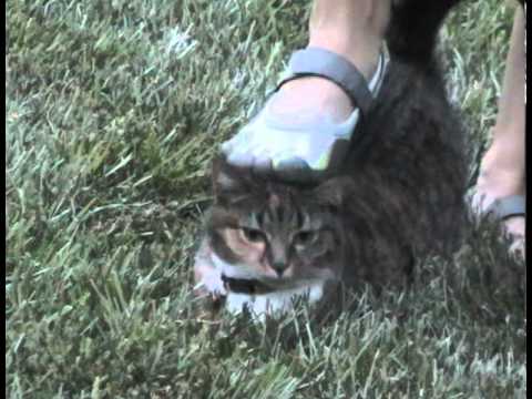 Mary Claire Stewart - Fun