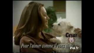 César 1