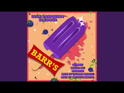 Nice It (Burna Remix)