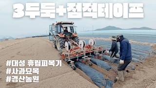이렇게 쉽게? 사과 묘목 3두둑 트랙터 휴립피복기 경산농원 레드…