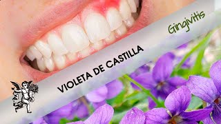 ¿Padeces de gingivitis? ¡No sufras más y prueba con VIOLETA DE CASTILLA!