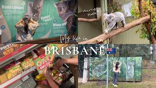【Vlog】オーストラリア暮らし🇦🇺 | 無料のコアラスポットへ🐨💖, ブリスベン休日の過ごし方