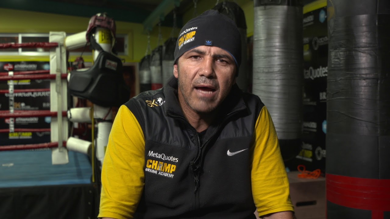 MetaQuotes Champ Boxng Academy The Birthplace of Champions