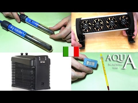 Aquascaping Lab - Gestione della temperatura in acquario: termoriscaldatori, ventole e refrigeratori