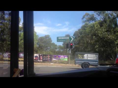 [Route 904] Transdev NSW Easter Egg bus: CB60 Evo II Volvo B12BLE - The siren bus