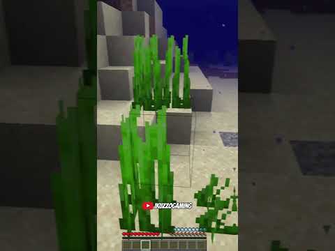 INSANE Minecraft Sound Glitch!!!