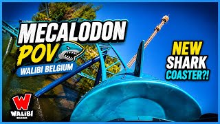 Mecalodon