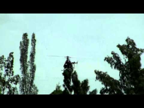 2010-08-15 TRex 550 FuFu