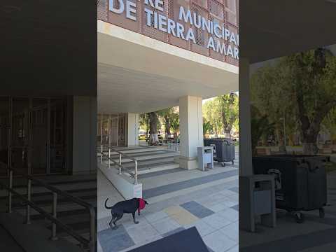 Proyectos de arQuitectura en Atacama #copiapo #tierraamarilla #caldera