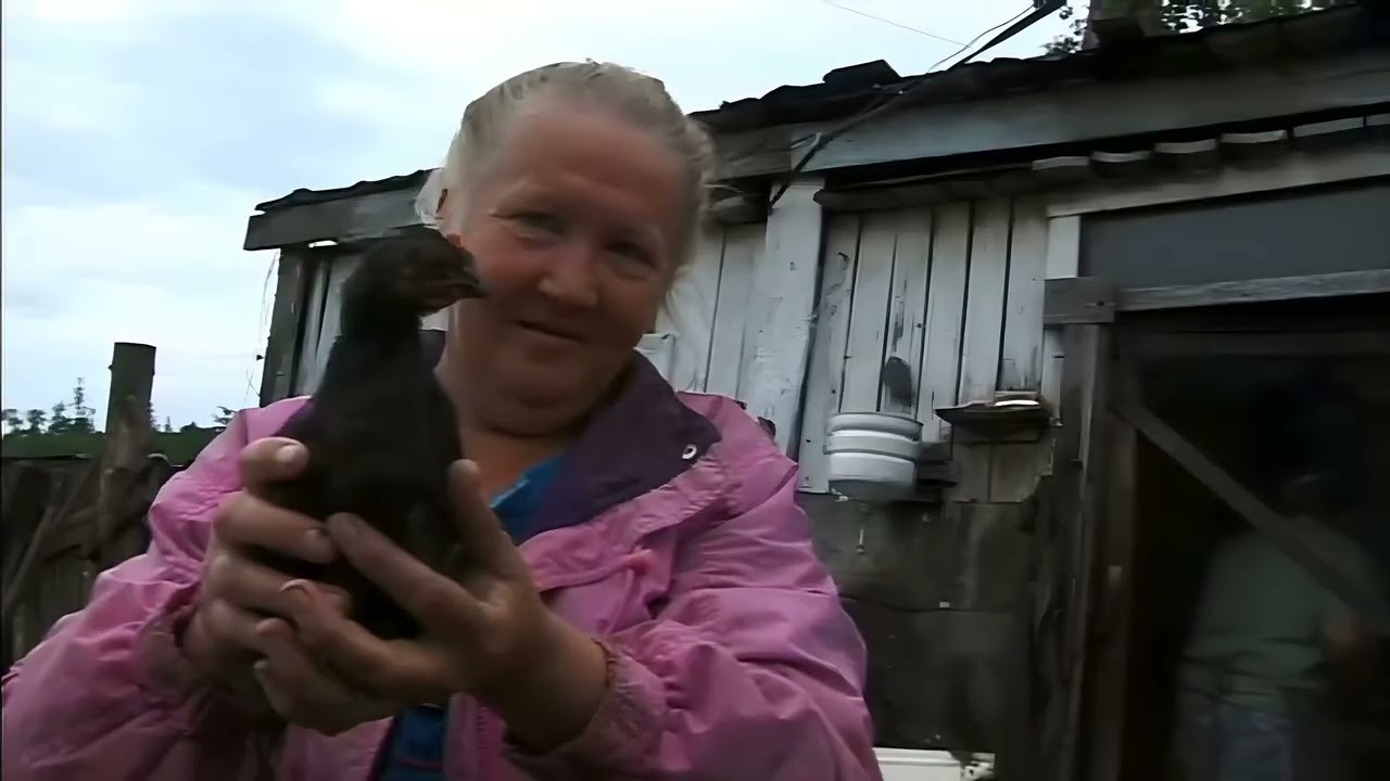 059b / KRAPIVNAJA - LOST in TRANSITION - R/Hsub (Enhanced 4K)