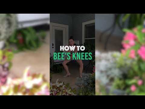 #Shorts - How to Bees Knees