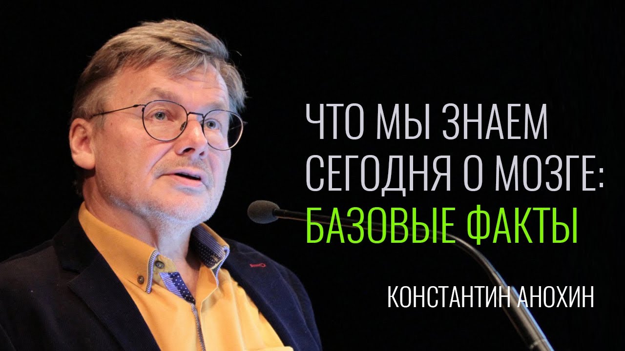 Что мы знаем сегодня о мозге: базовые факты. Константин Анохин