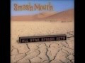 "do it again" smash-mouth