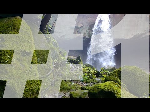 youtube embeded image