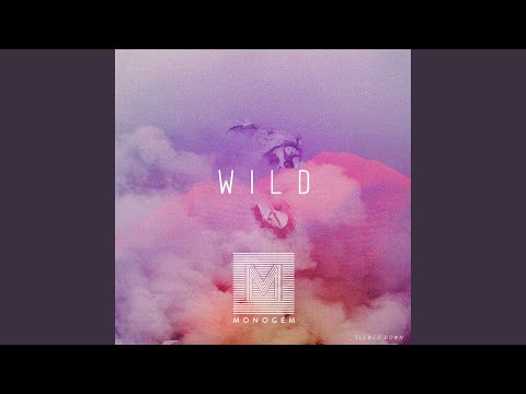 Wild - Slowed Down