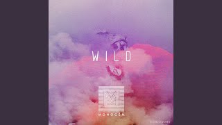 Cover art for Wild