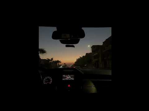 Roque - Friday Night