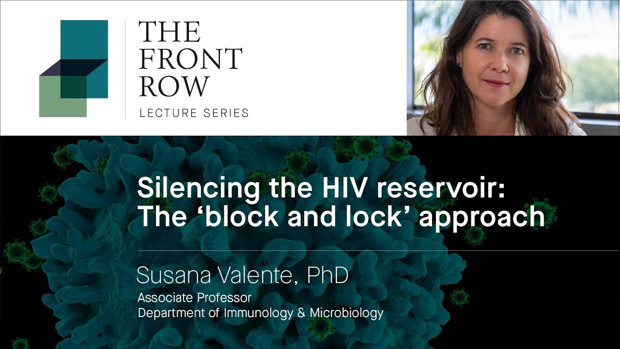 Silencing the HIV Reservoir: The ‘Block and Lock’ Approach