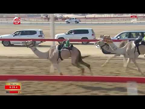 ش 12 (شنذاره) لـ تركي سيف بن محمد العتيبي 8:59:08 ، مهرجان ختامي الوثبة 2026/05/13 إيذاع