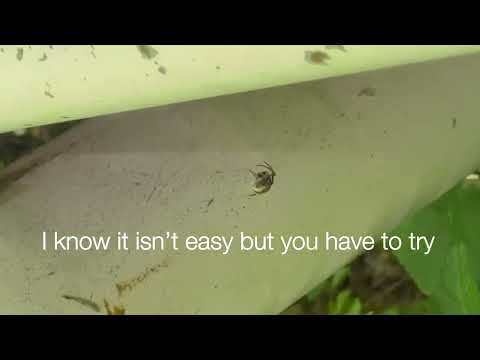 even so, i still want to believe (信じたい) [ENG/JAPANESE LYRICS]