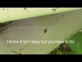 Even So I Still Want To Believe 信じたい ENG JAPANESE LYRICS