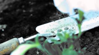 One Particular Moment (2012)