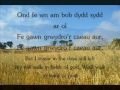Y Caeau Aur - Gemma Markham (geiriau / lyrics ...