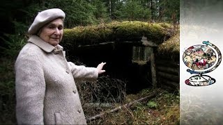 Survivors of the Holocaust