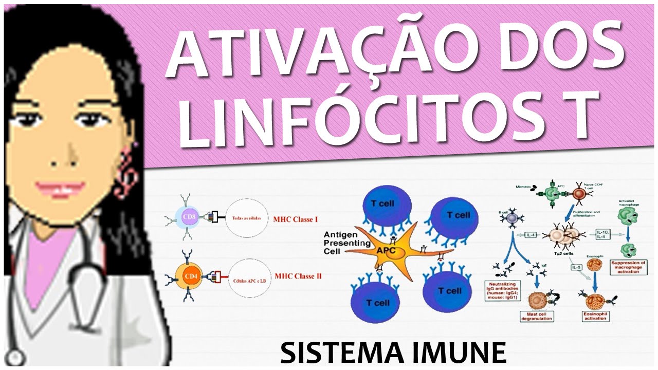 Imunologia 10 - Ativação dos Linfócitos T  - Vídeo-aula de sistema imune